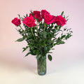 Hot Explorer roses