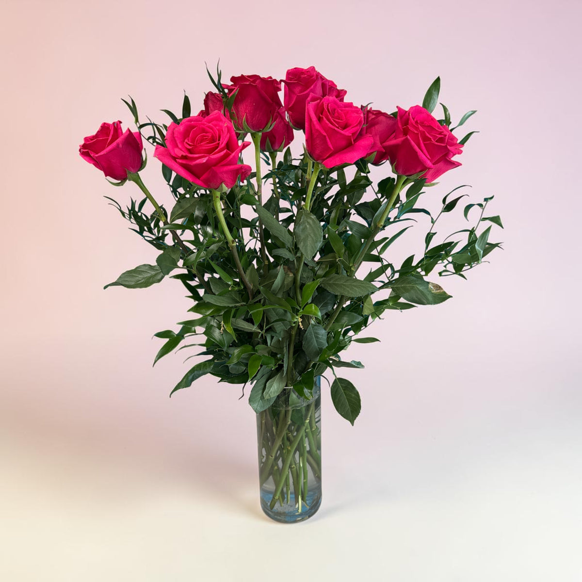 Hot Explorer roses