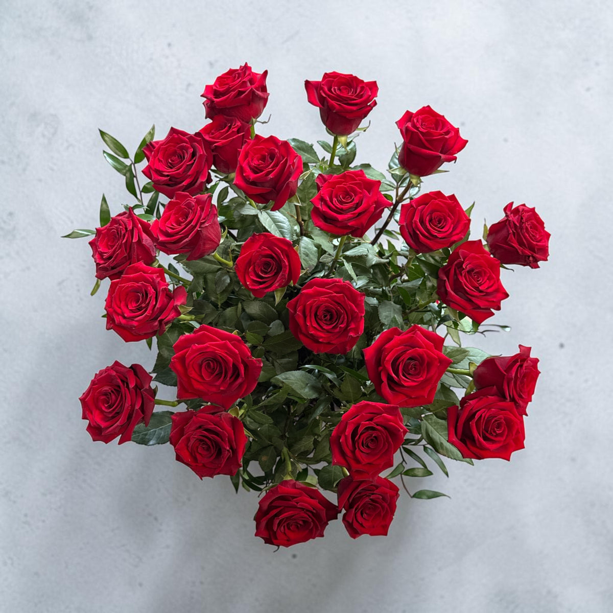 Explorer Red Roses