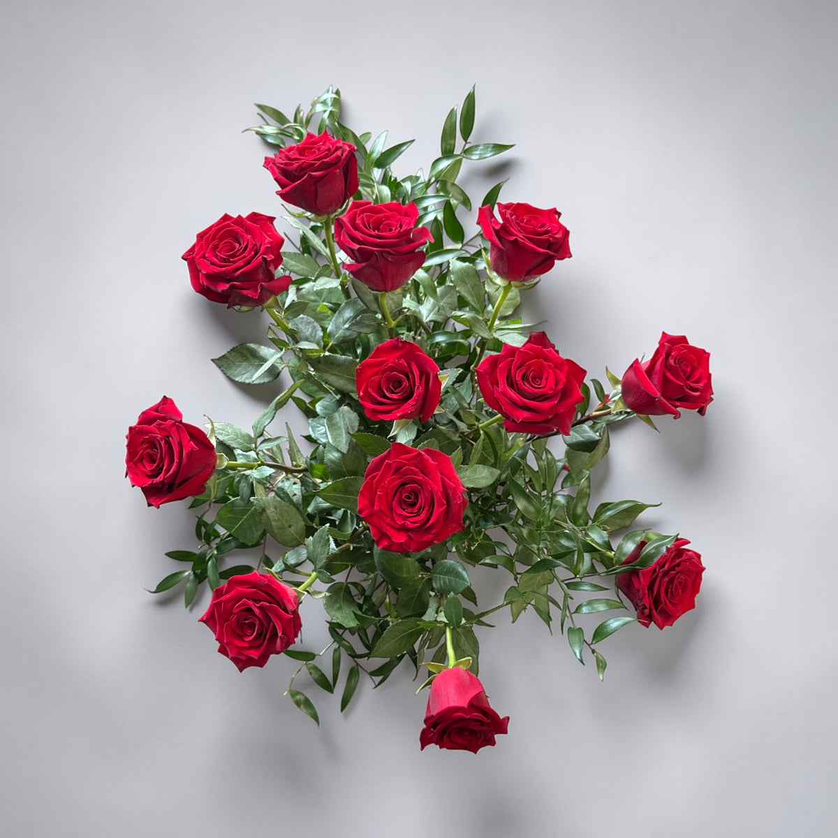 Explorer Red Roses