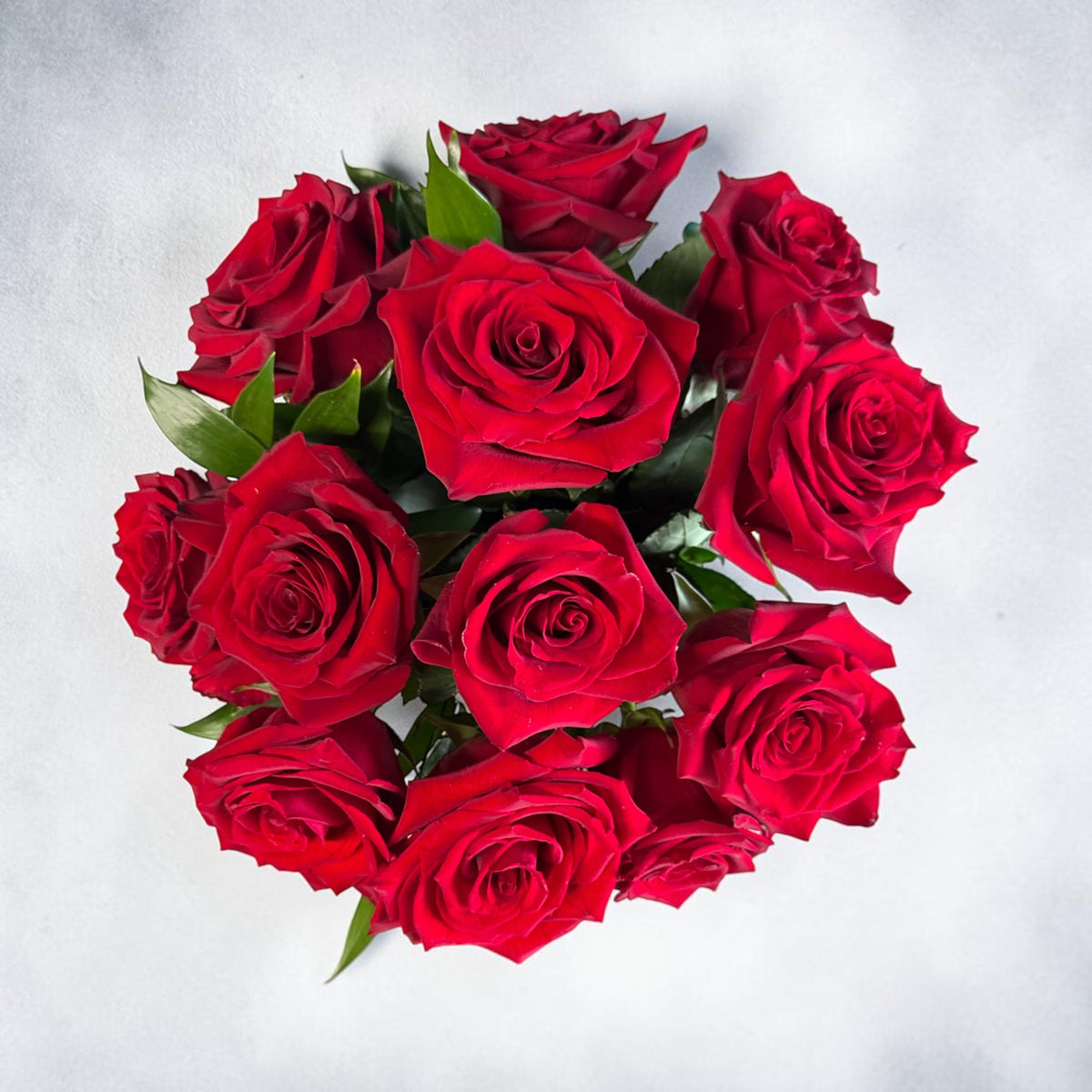Explorer Rose red (Compact)