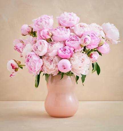 Peony pink