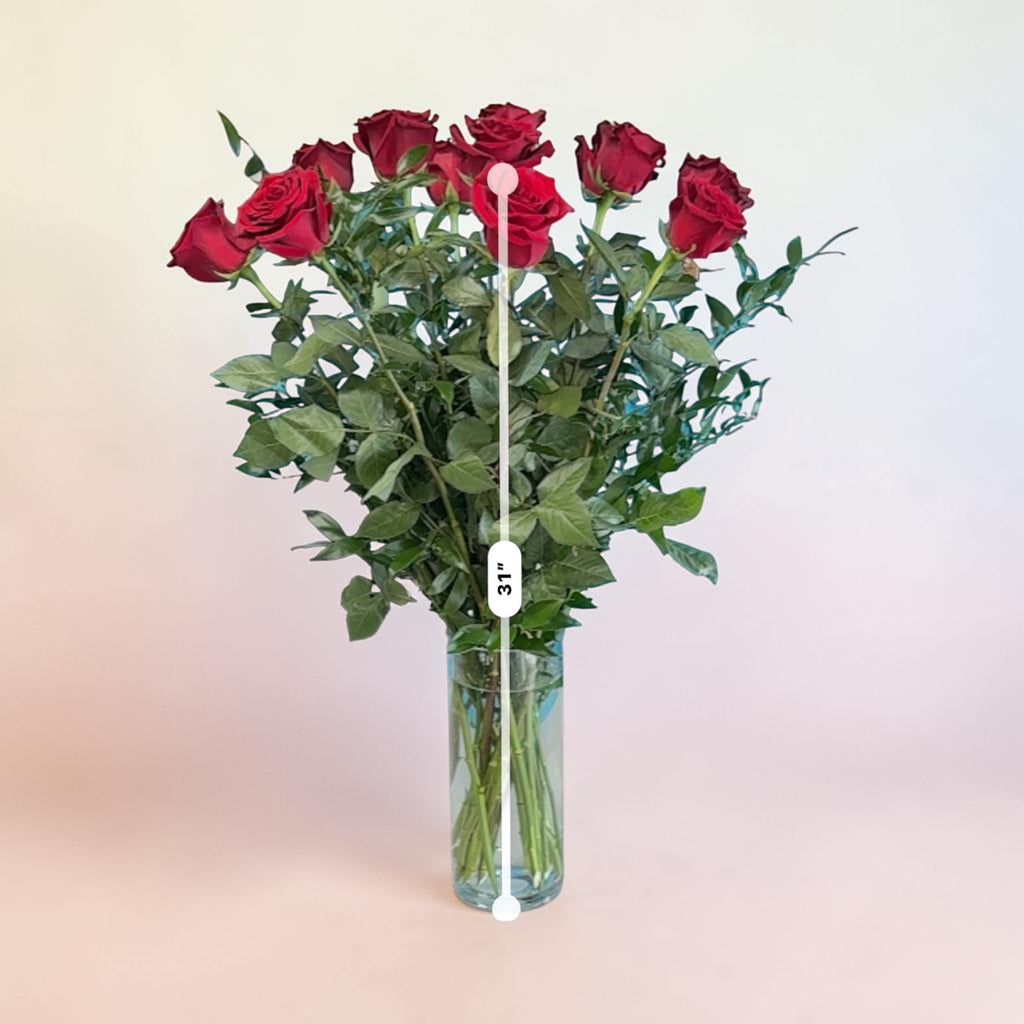 Explorer Red Roses