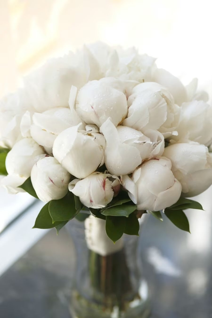 Peony white