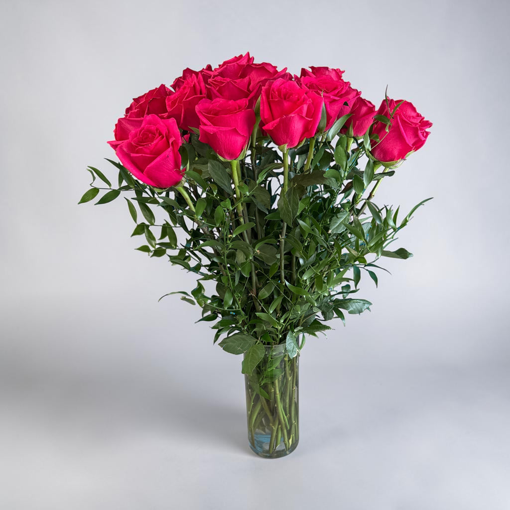 Hot Explorer roses