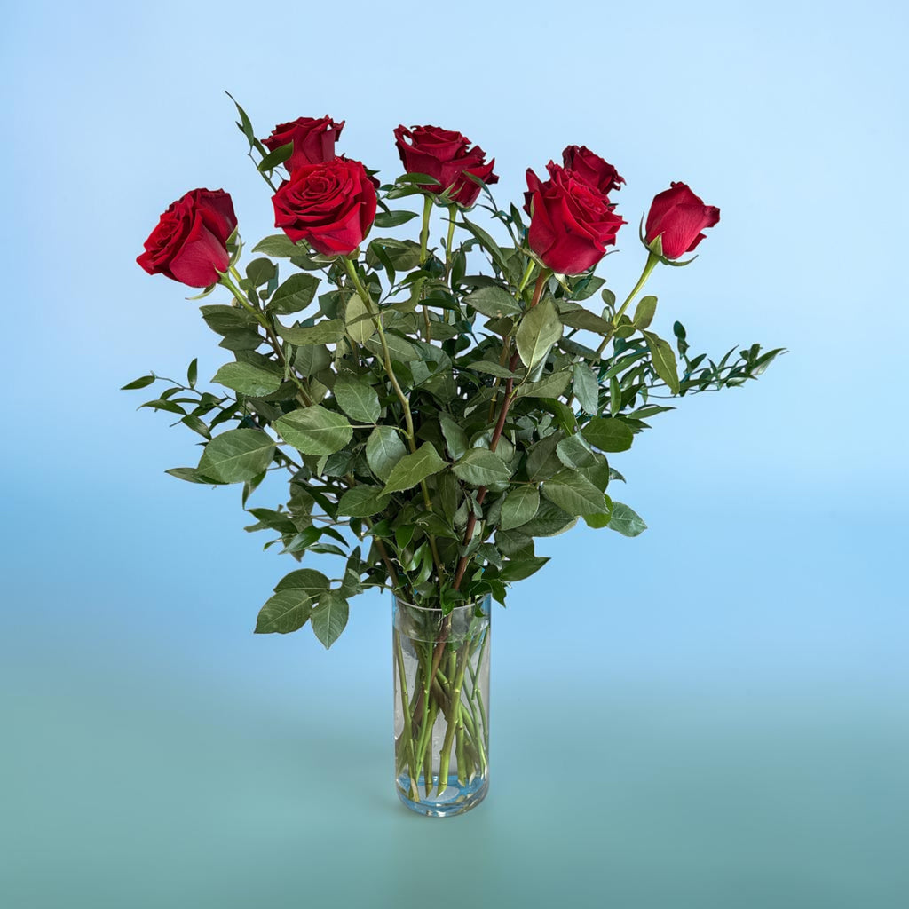 Explorer Red Roses