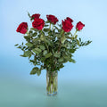 Explorer Red Roses