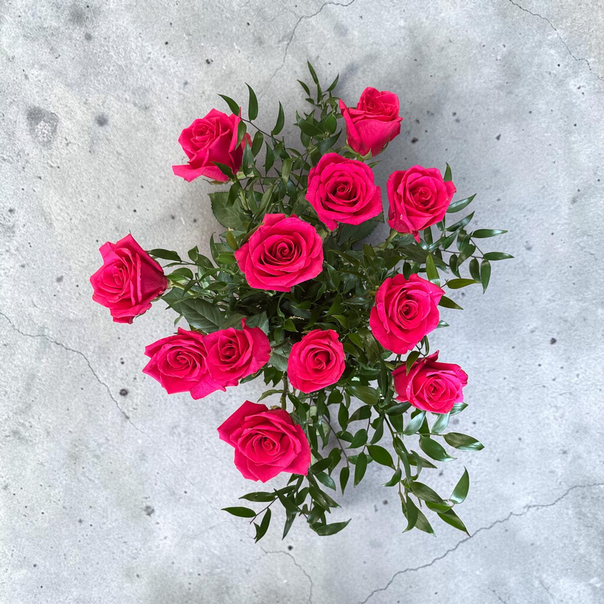 Hot Explorer roses