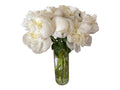 Peony white
