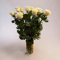 Mondial White Roses