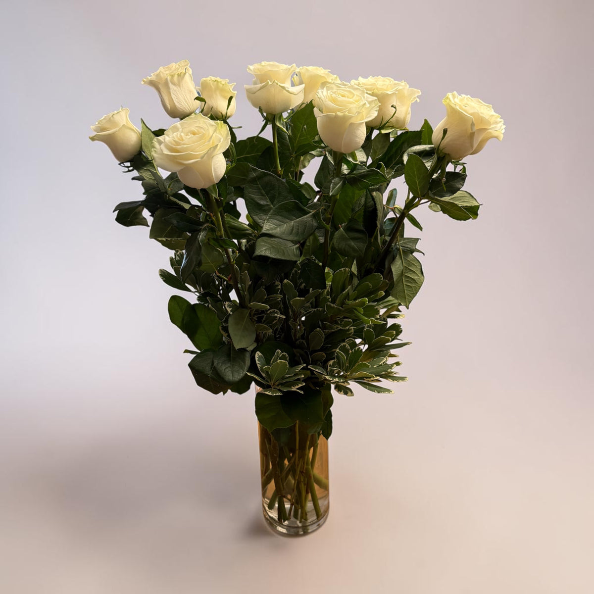 Mondial White Roses