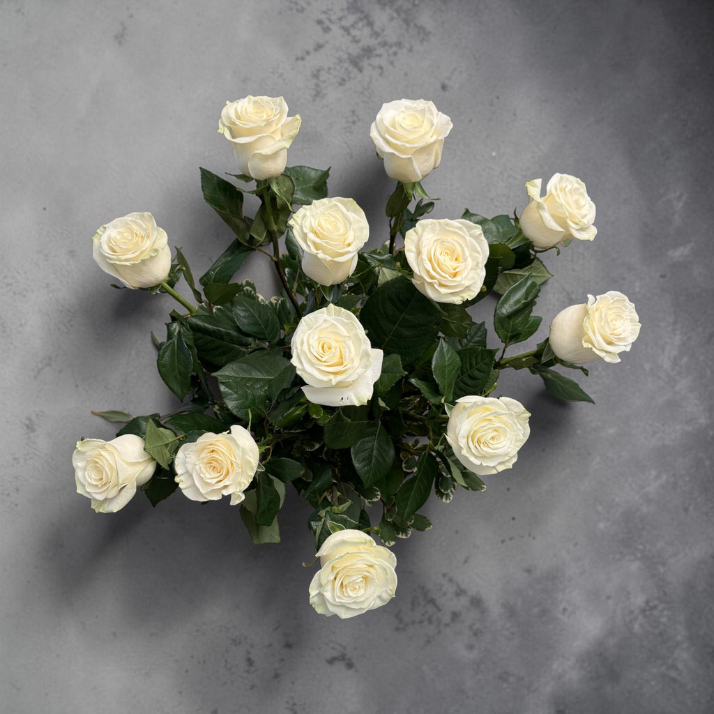 Mondial White Roses