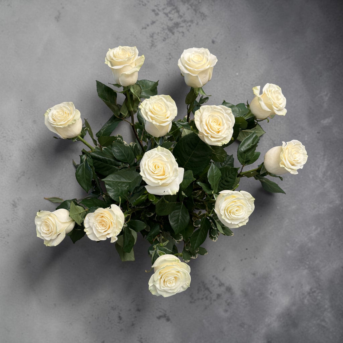 Mondial White Roses