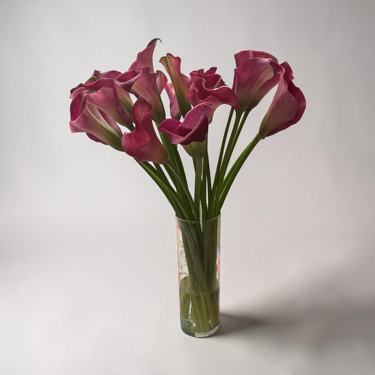 Calla purple