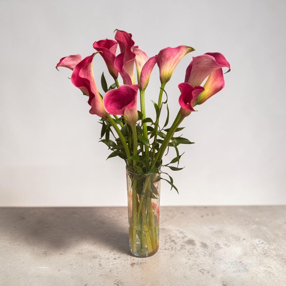 Calla purple