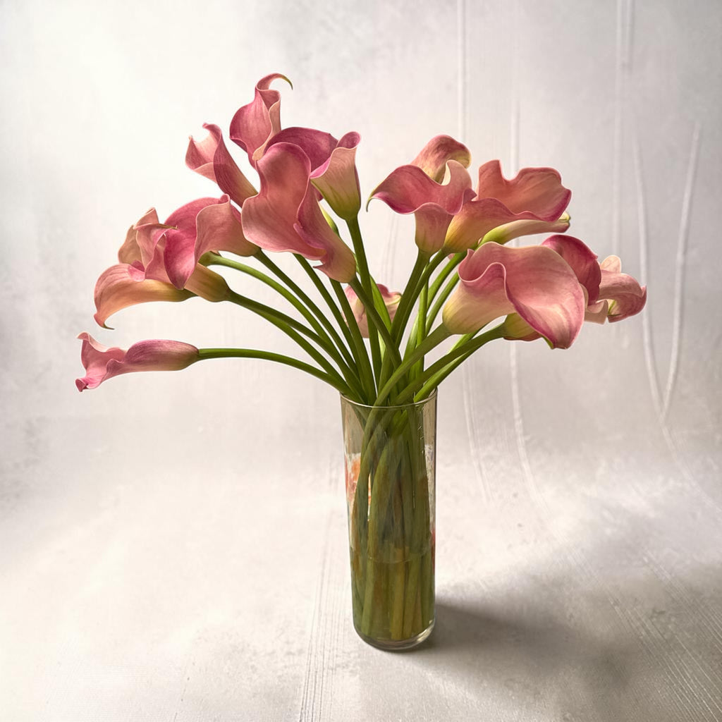 Calla Pink