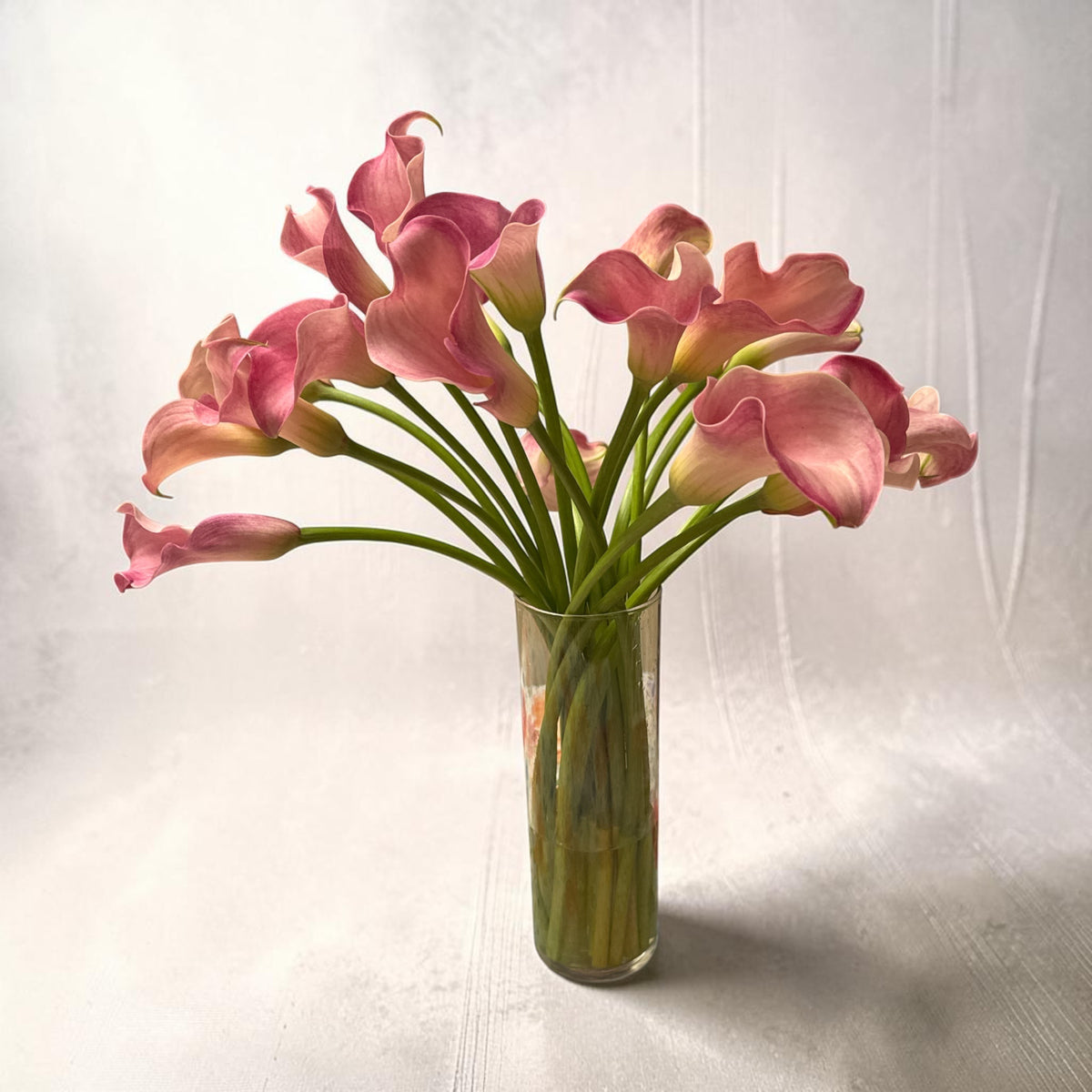Calla Pink