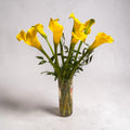 Calla Yellow