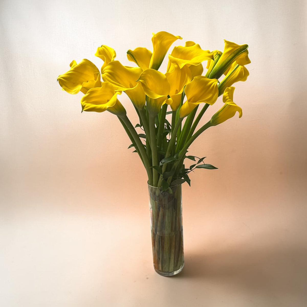 Calla Yellow