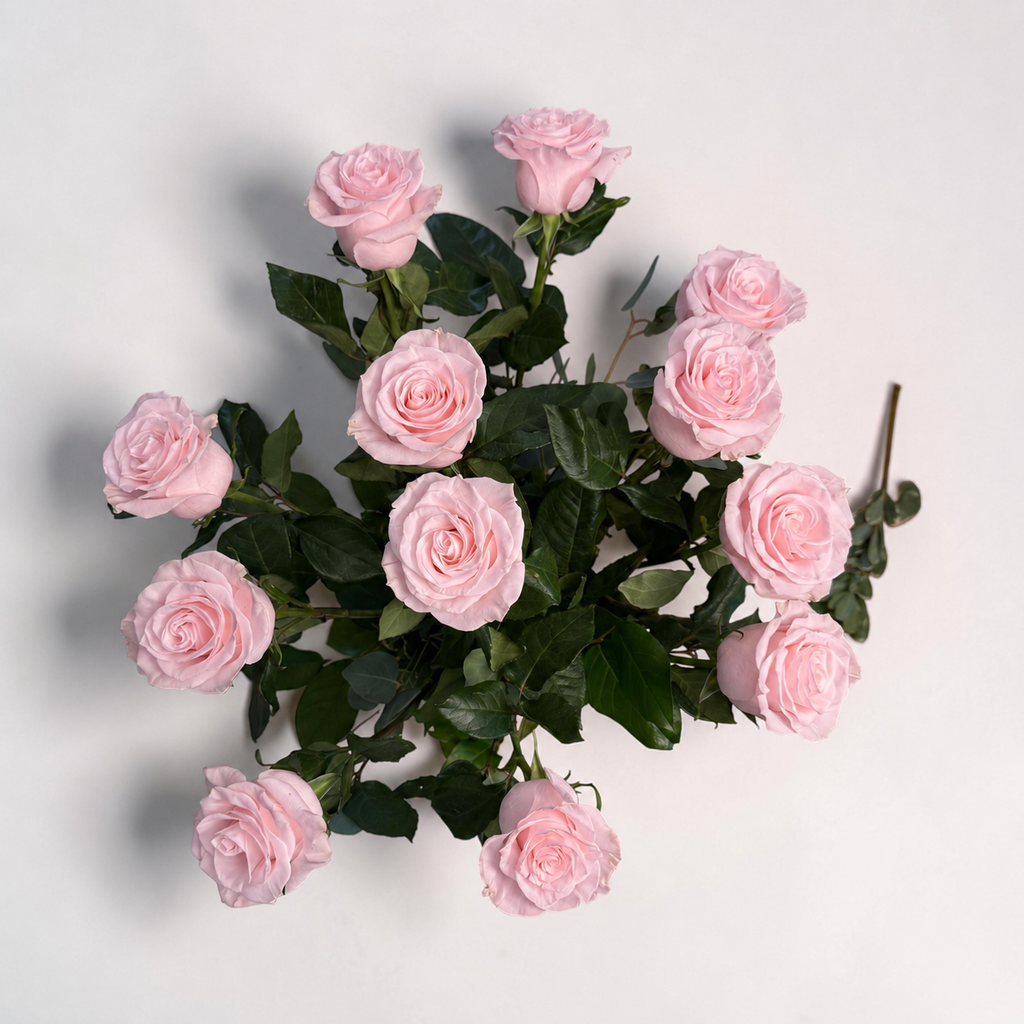 Frutetto Pink Roses
