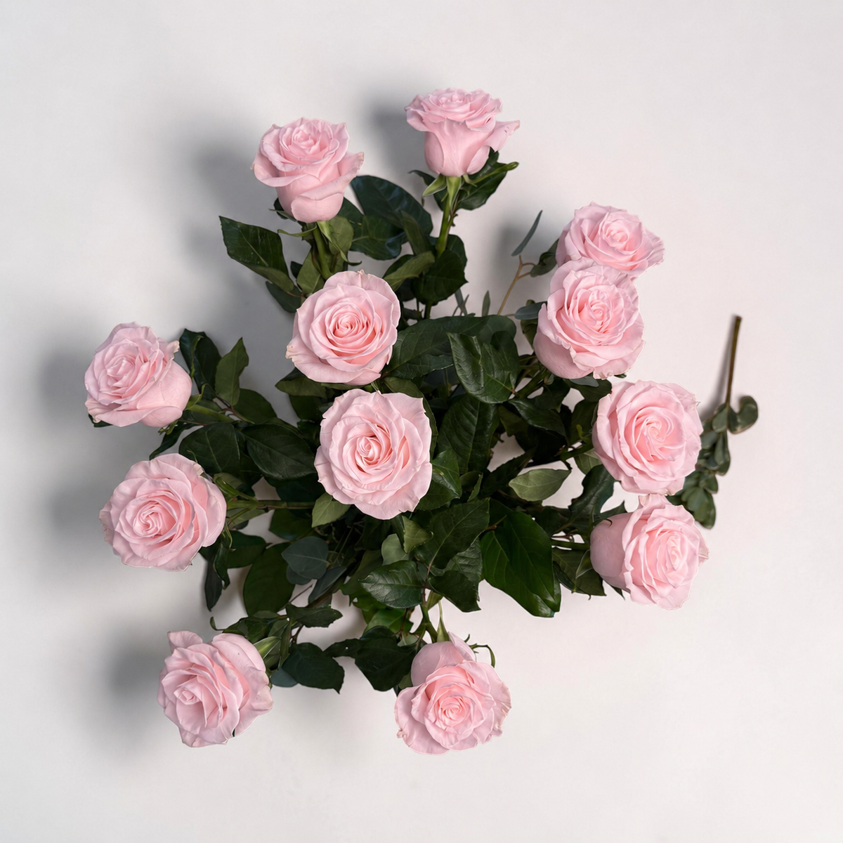 Frutetto Pink Roses