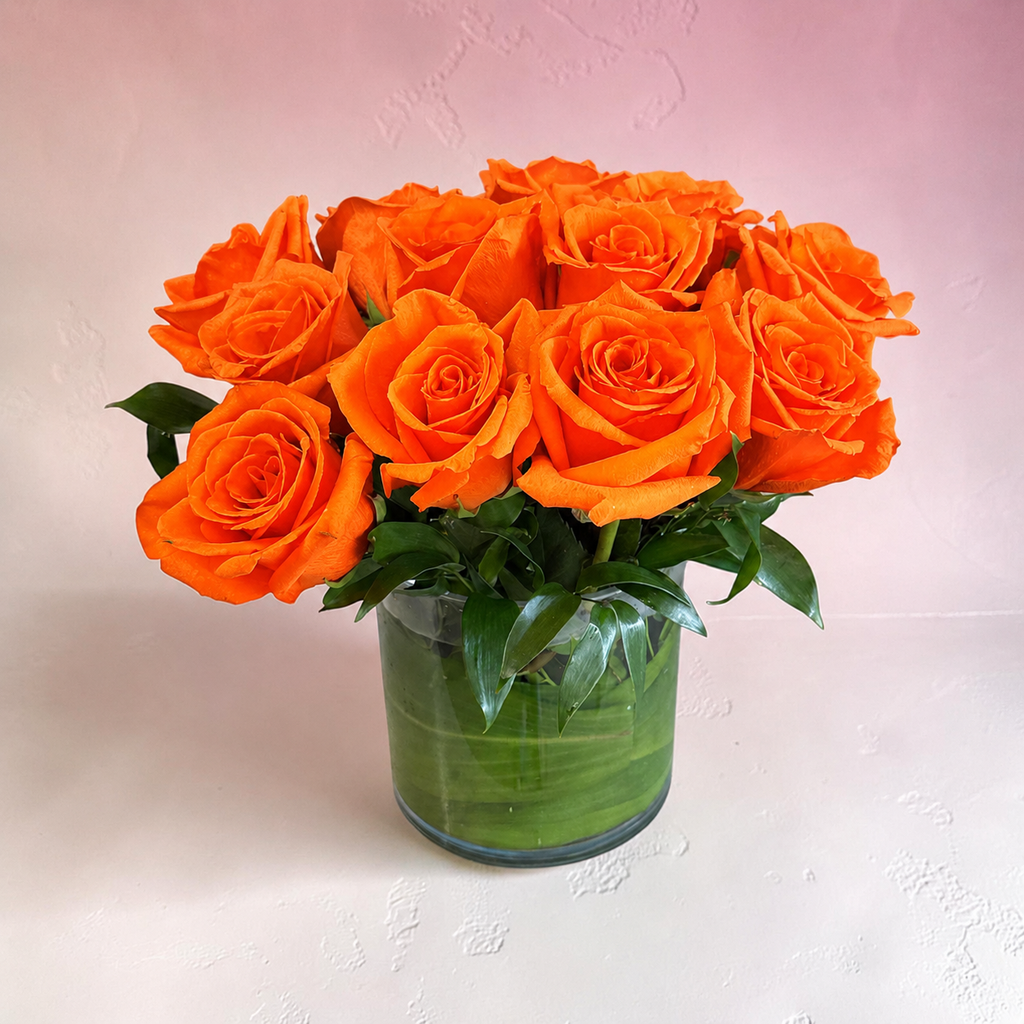 Atomic orange roses (compact)