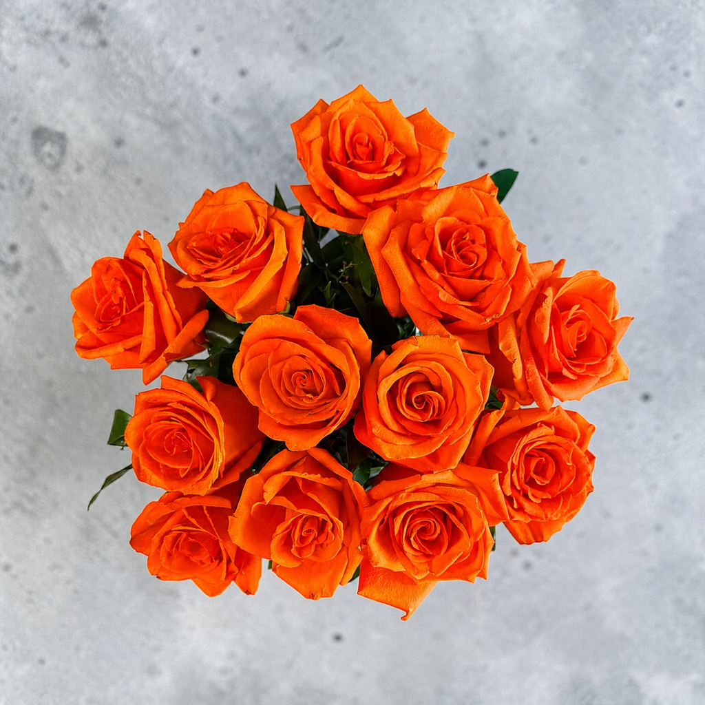 Atomic orange roses (compact)