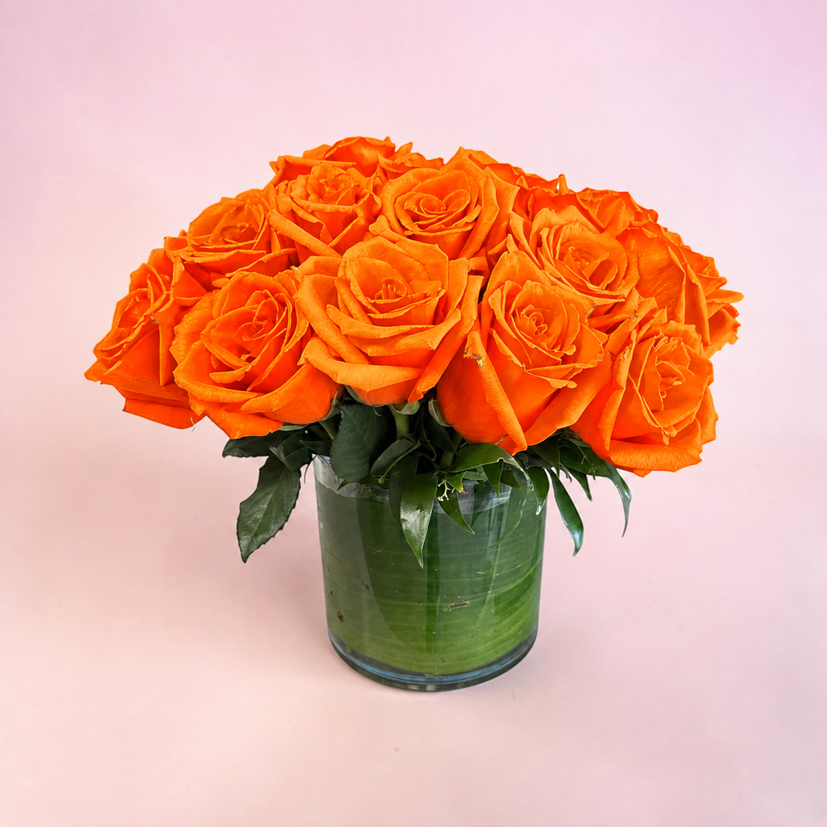 Atomic orange roses (compact)