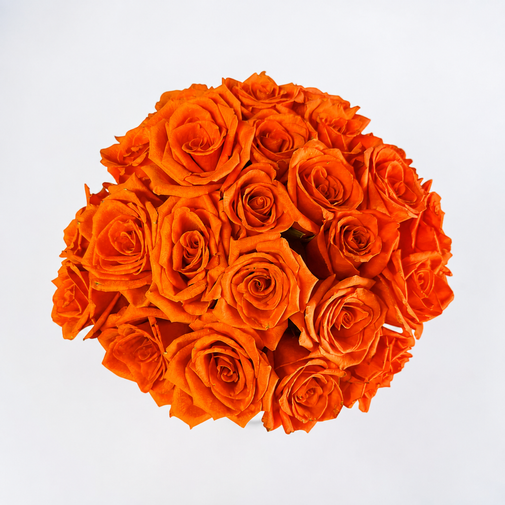 Atomic orange roses (compact)
