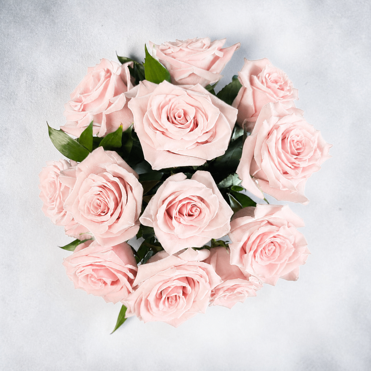 Frutetto pink roses (compact)