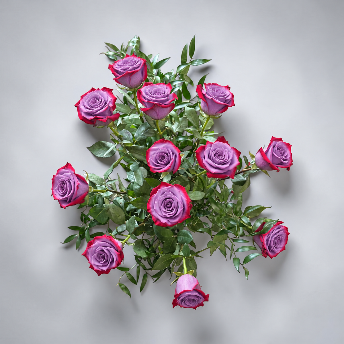 Purple roses