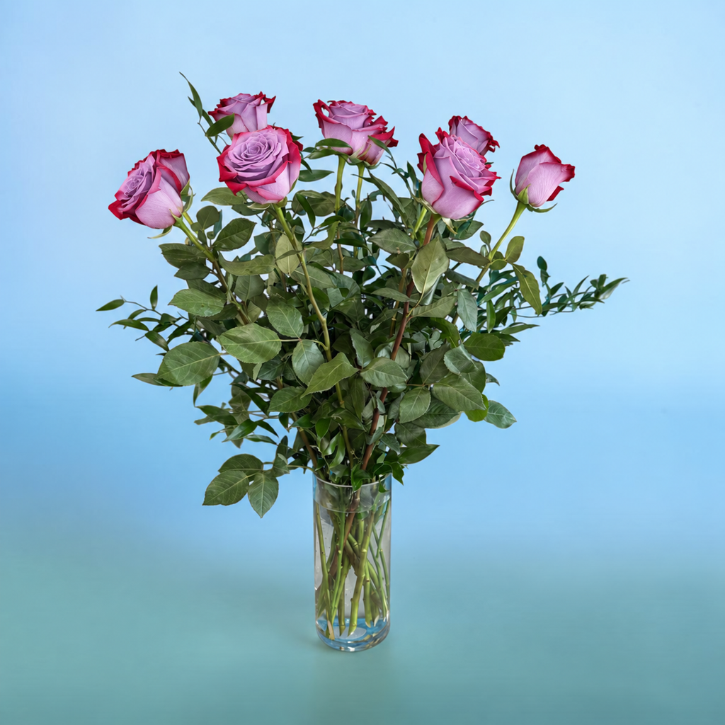 Purple roses