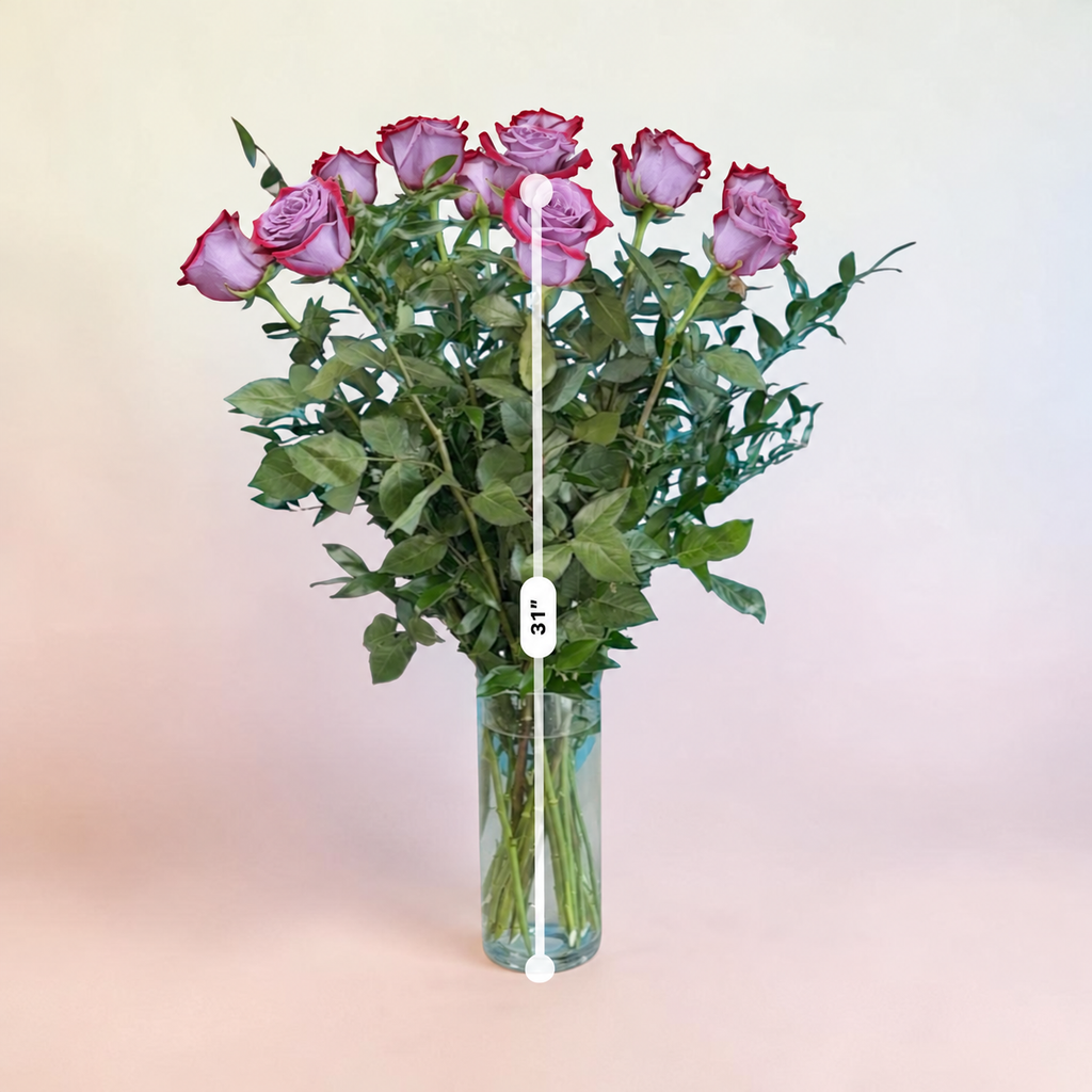 Purple roses
