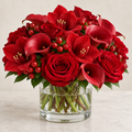 All Red Christmas