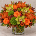 Fall Foliage