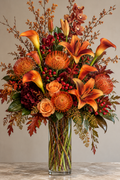 Autumn Royale